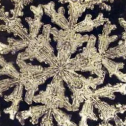 Snowflakes: Sacred Geometry and Harmonic Resonance