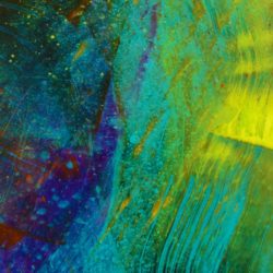 Dive into Colour - Taster Day