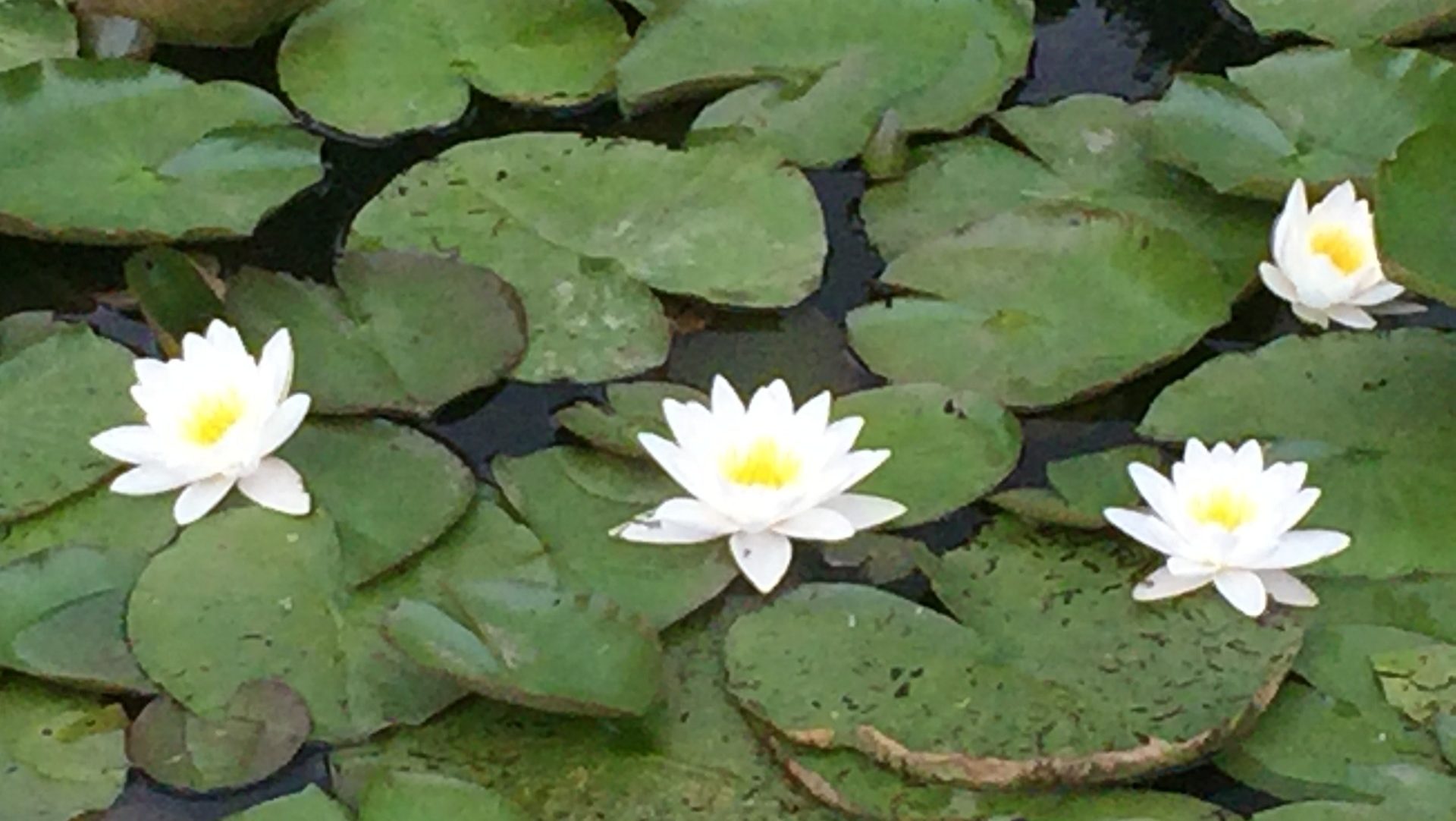 Grief Workshop: Weekend Retreat